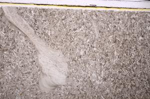 Plane Polarized, E46382