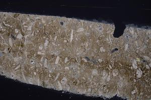 Cross Polarized, E46390