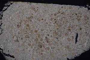 Cross Polarized, E46392