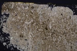 Cross Polarized, E46394