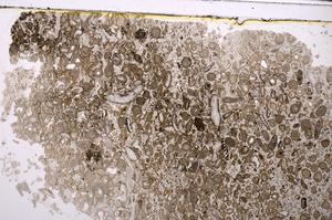 Plane Polarized, E46394