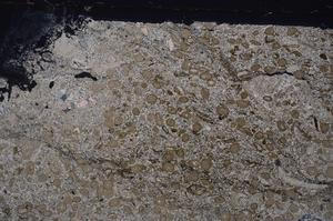 Cross Polarized, E46395