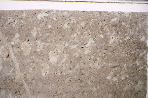 Plane Polarized, E46462