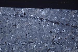 Cross Polarized, E46494