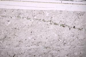 Plane Polarized, E46494