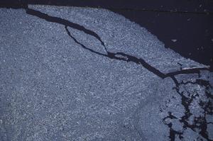 Cross Polarized, E46495