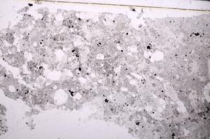 Plane Polarized, E46497