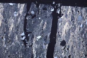 Cross Polarized, E46498