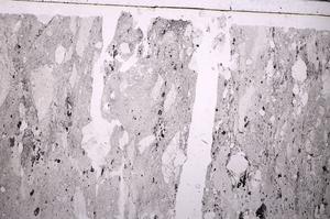 Plane Polarized, E46498