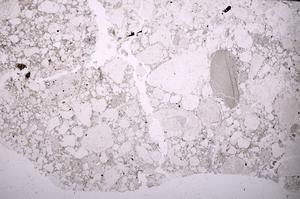 Plane Polarized, E46561/A