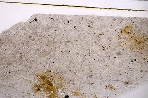 Plane Polarized, E46604