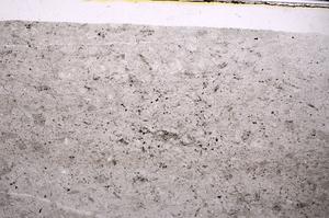 Plane Polarized, E46607