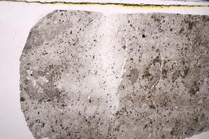 Plane Polarized, E46610