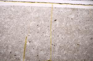 Plane Polarized, E46613