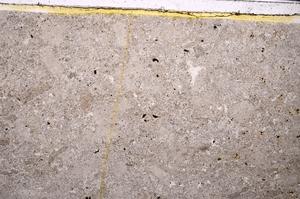 Plane Polarized, E46619