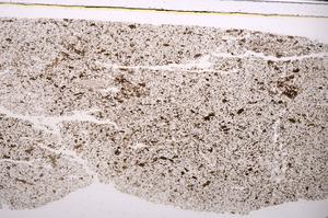 Plane Polarized, E46639