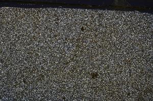 Cross Polarized, E46666