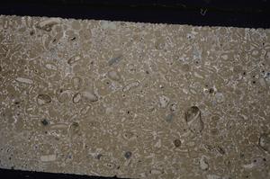 Cross Polarized, E46668