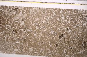 Plane Polarized, E46668