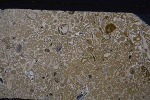 Cross Polarized, E46670