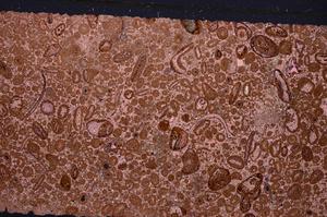 Cross Polarized, E46671