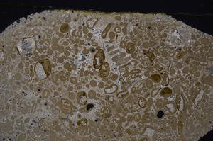 Cross Polarized, E46674