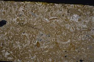 Cross Polarized, E46675