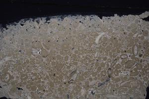 Cross Polarized, E46680