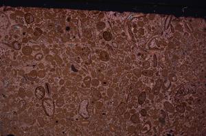 Cross Polarized, E46681