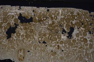 Cross Polarized, E46682