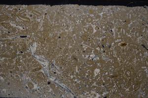 Cross Polarized, E46683