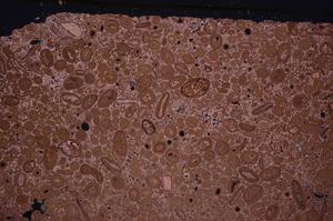 Cross Polarized, E46684