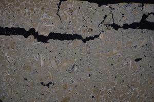 Cross Polarized, E46685