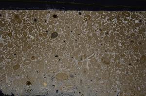 Cross Polarized, E46686