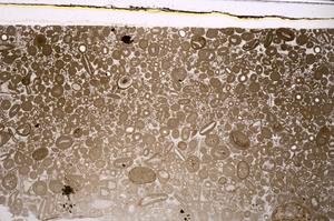 Plane Polarized, E46686