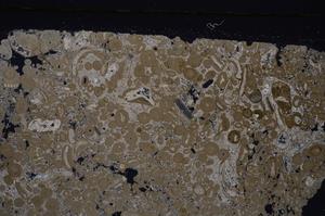 Cross Polarized, E46690