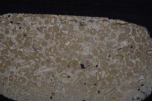 Cross Polarized, E46691