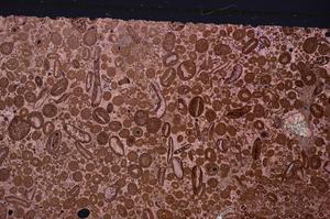 Cross Polarized, E46692