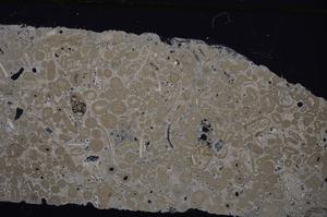 Cross Polarized, E46693