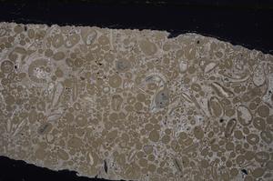 Cross Polarized, E46694