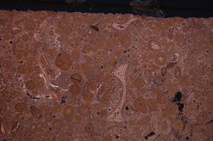 Cross Polarized, E46707