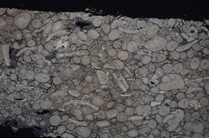 Cross Polarized, E46708