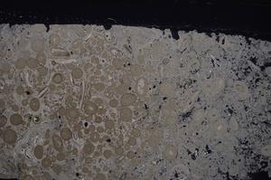 Cross Polarized, E46709