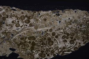 Cross Polarized, E46710