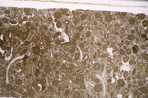 Plane Polarized, E46712