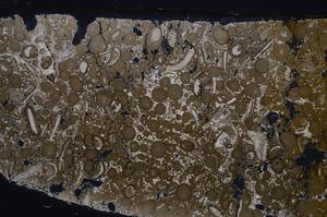 Cross Polarized, E46713