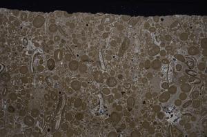 Cross Polarized, E46714