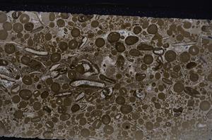 Cross Polarized, E46715