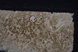 Cross Polarized, E46716