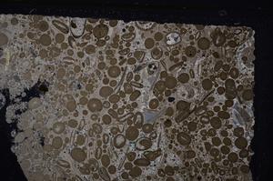 Cross Polarized, E46717